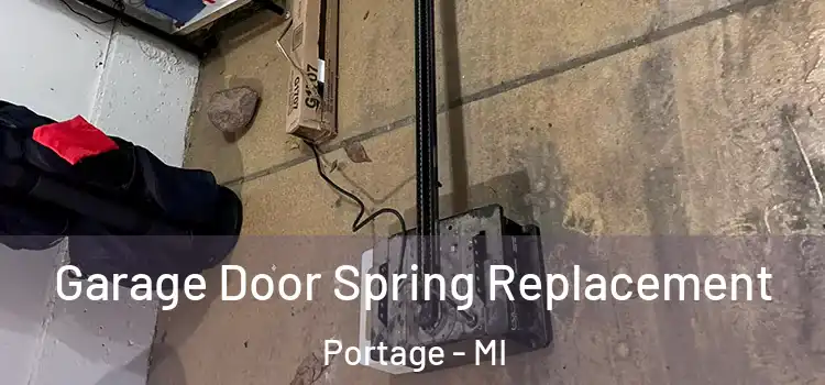  Garage Door Spring Replacement Portage - MI