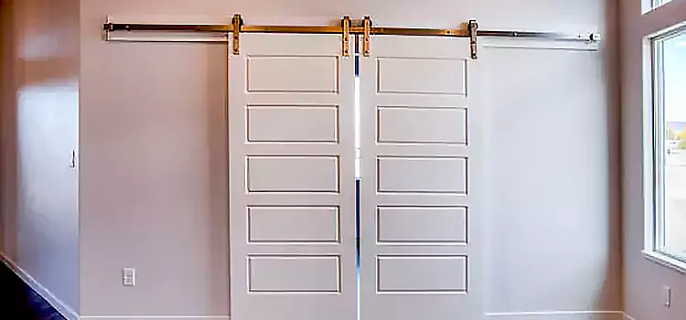 Glass Barn Door with Installation Hardware Kit Portage